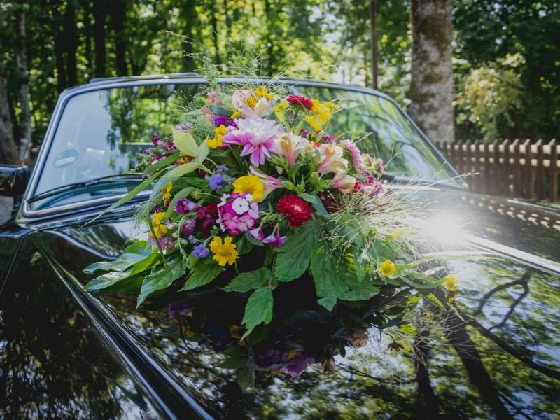 Wedding & Event Travel Package image